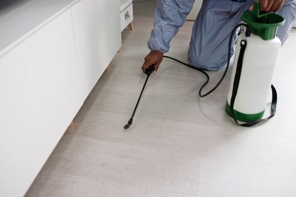 Pest Control Services Coimbatore