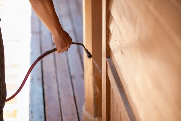 Termite Control Service Coimbatore