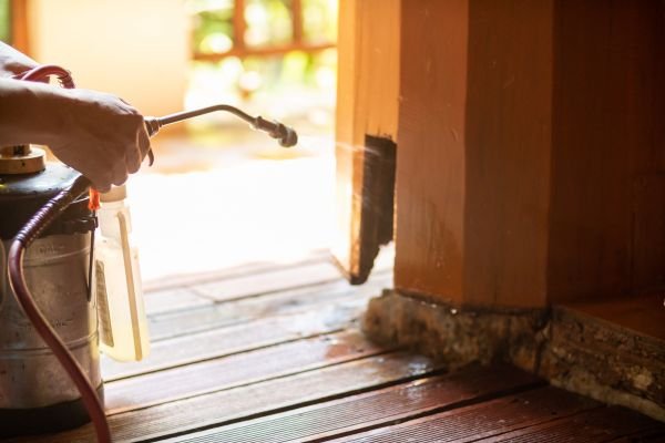 Termite Control Service in Coimbatore