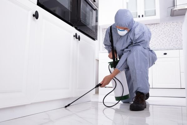 Termite Control Services in Coimbatore