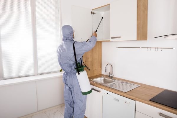 Termite Control Services