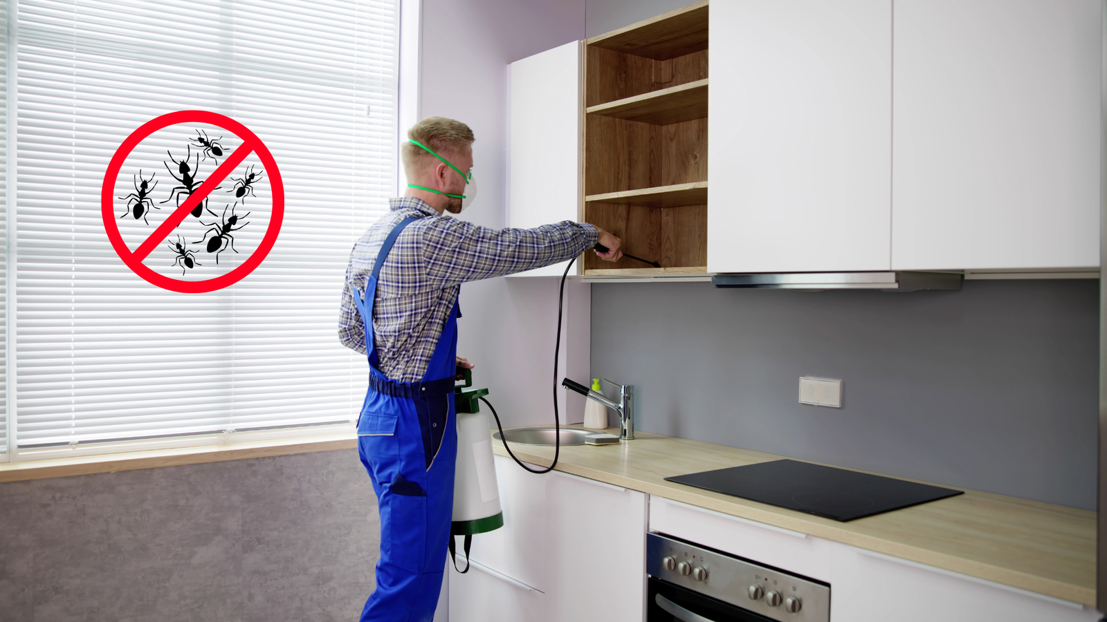 Termite Control Service Coimbatore
