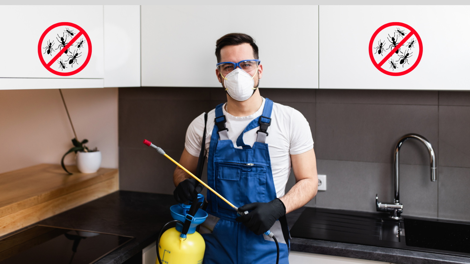 Termite Control Service in Coimbatore
